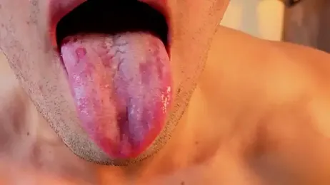 Liam_forest_ webcam model stream image