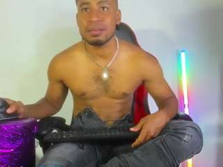 prince-gemini webcam model stream image
