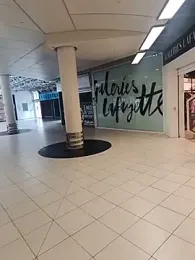 pulpeuse64 webcam model stream image