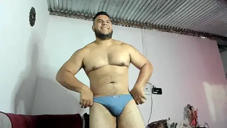 ApholoVV webcam model stream image