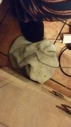 69torero webcam model stream image