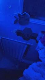 sugarbabyyyhot webcam cam4 model stream image