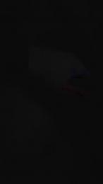 Spanit webcam model stream image