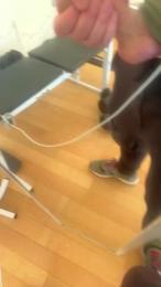 Stefa1982 webcam model stream image