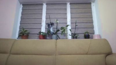 have_funnn webcam model stream image