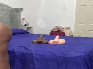 coco-dethick webcam model stream image