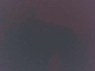 aannal webcam model stream image