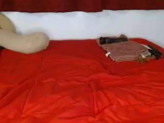 giatailor camsoda stream image