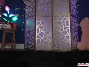 heatherbby chaturbate stream image, 10.02.2025 23:20