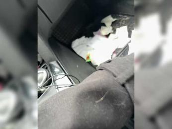 GAVKA_ bongacams stream image, 12.02.2025 08:20