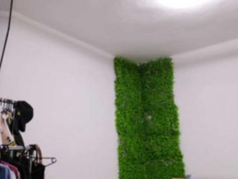 EmilyxJames bongacams stream image, 29.07.2025 02:50