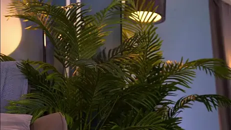 _keeti_ stripchat stream image, 31.07.2025 05:40