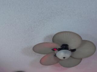 Katharine Cane flirt4free stream image, 13.08.2025 21:50