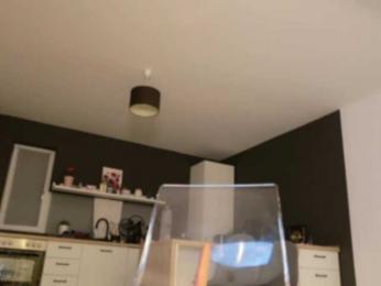 EmilyxJames bongacams stream image, 17.09.2025 19:10