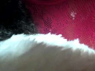 giannalove camsoda stream image, 27.10.2025 04:30