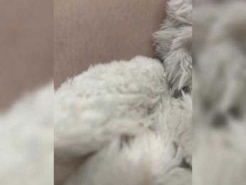 CuteKitty00 bongacams stream image