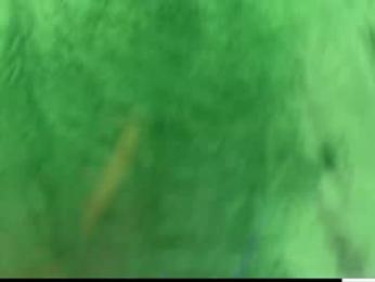 laurenbrite chaturbate stream image, 30.11.2025 01:50