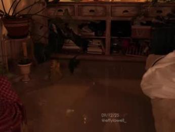 effylowell_ chaturbate stream image, 10.12.2025 01:50