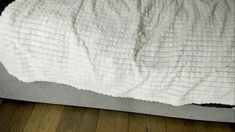 Rachel_Rey stripchat stream image