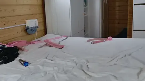 wild41 stripchat stream image, 02.01.2026 22:30