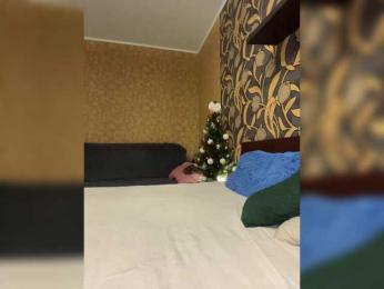 LouiseJenkin bongacams stream image, 08.01.2026 19:10