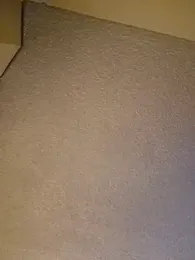 Roddog18 stripchat stream image, 10.01.2026 04:30