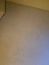 Roddog18 stripchat stream image, 10.01.2026 04:30