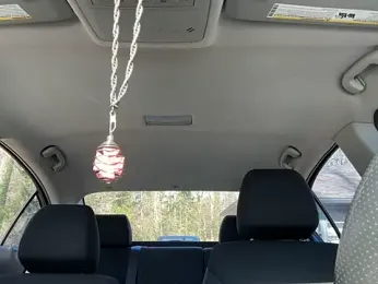 trash4cash stripchat stream image