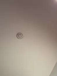 Andrestarr stripchat stream image