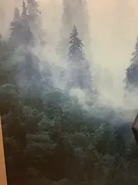 ladoucedu34 stripchat stream image