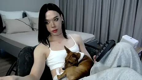 Dasha_WEYT stripchat stream image