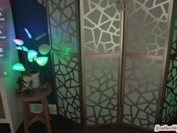 heatherbby chaturbate stream image, 08.03.2025 01:10