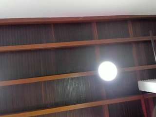 sofievanss camsoda stream image