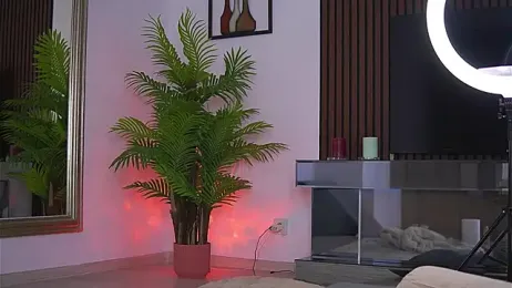 Abbela_White stripchat stream image, 31.03.2026 05:10