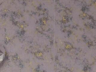 Emma Robi flirt4free stream image, 10.04.2026 11:10