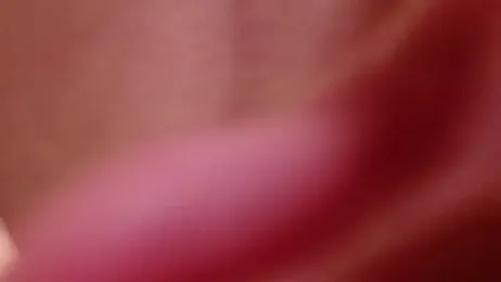 maataaan stripchat stream image