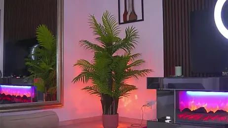 Abbela_White stripchat stream image, 14.04.2026 05:50