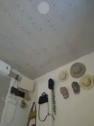 DAELAA stripchat stream image, 19.03.2025 23:50