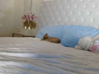 giannalove camsoda stream image, 05.04.2025 04:20