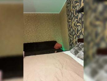 LouiseJenkin bongacams stream image, 07.04.2025 15:10