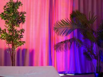 ArtTeasee bongacams stream image