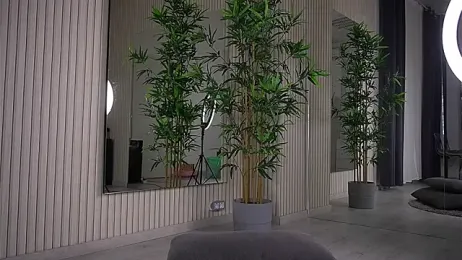 Abbela_White stripchat stream image, 24.04.2025 05:30