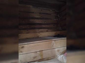 MsHsFuck bongacams stream image