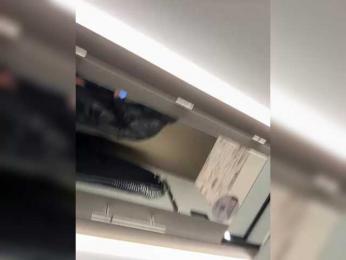 GAVKA_ bongacams stream image, 29.04.2025 07:50