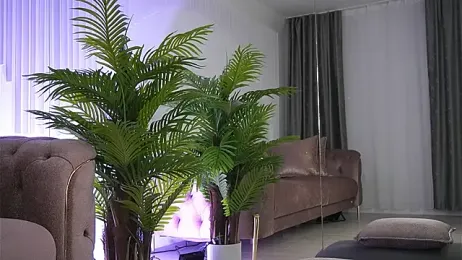 Abbela_White stripchat stream image, 06.05.2025 05:30